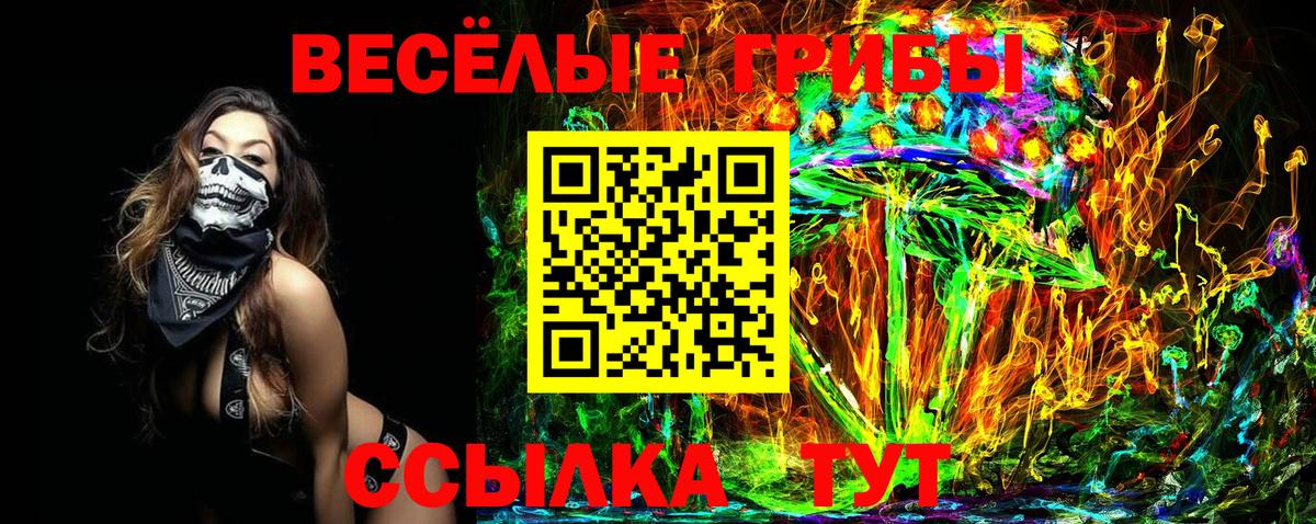 Псилоцибиновые грибы MAGIC MUSHROOMS  Вход с VPN  Лабинск  Галлюциногенные грибы Cubensis 